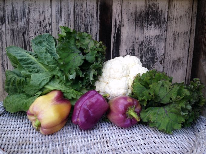 Organic Produce Delivery From Farm Fresh To You by Hybrid Rasta Mama