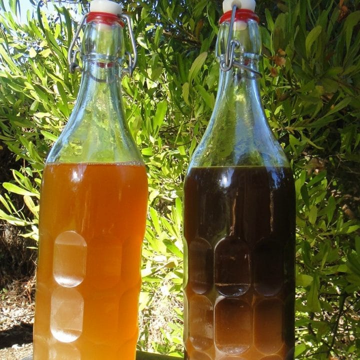 A glass grolsch bottle of root beer kombucha next to a bottle of sarsaparilla kombucha