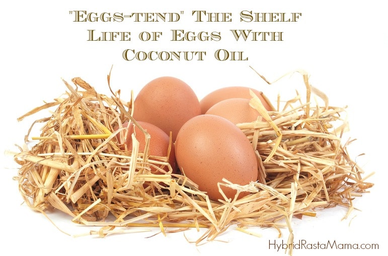How To Extend The Shelf Life of Eggs With Coconut Oil