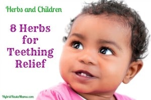 Teething is one of the roughest things babies and toddlers go through. Good thing they can get teething relief with herbs and these magical gum rub recipes. From HybridRastaMama.com