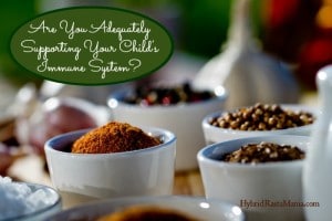 Do you know how to properly support your child's immune system with immune boosting herbs? Grab this recipe for the best immune boosting tea blend there is. Brought to you by HybridRastaMama.com.