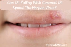Can oil pulling with coconut oil spread the herpes virus? An interesting question with an equally as interesting answer. Come learn more in this post from HybridRastaMama.com.
