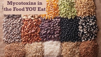 Various grains and dried beans that are known for having mycotoxins in food.