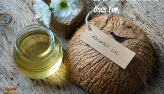 From loosening screws to dissolving grease to repelling cat poop, coconut oil can do it all. Check out these 25 Bizarre Uses For Coconut Oil from HybridRastaMama.com.