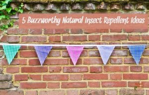 Colorful gingham bunting against a red brick wall