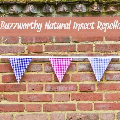 5 Buzzworthy Natural Insect Repellent Ideas