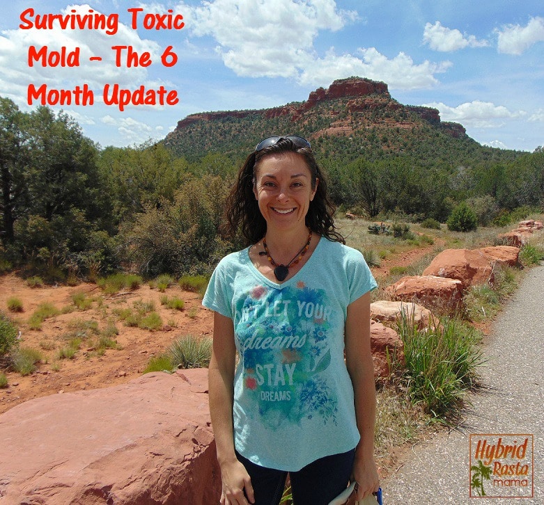 Surviving Toxic Mold – The 6 Month Update