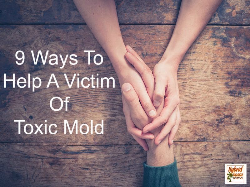 9 Ways To Help A Victim Of Mold Exposure
