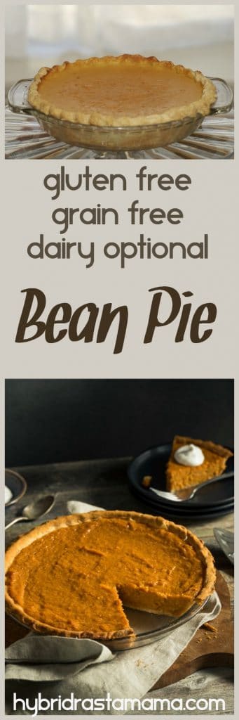 Ever heard of bean pie? Me neither. When I discovered it and took my first bite I was hooked for life. You will be too. This gluten free and grain free version from HybridRastaMama.com is divine.