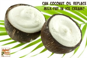 Can Coconut Oil Replace Milk Fat In Ice Cream from HybridRastaMama.com