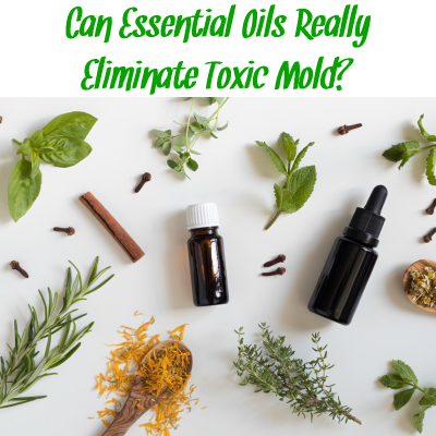Essential oils and herbs with the words "can essential oils really eliminate toxic mold?"