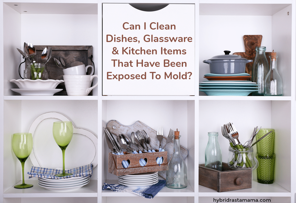 Moldy Dishes Can I Clean Dishes, Glassware & Kitchen Items That Have