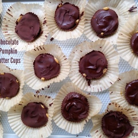 Chocolate Pumpkin Butter Cups... Think chocolate peanut butter cups, but with pumpkin + fall spices and without peanut butter. Trust me - its amazeballs! From HybridRastaMama.com