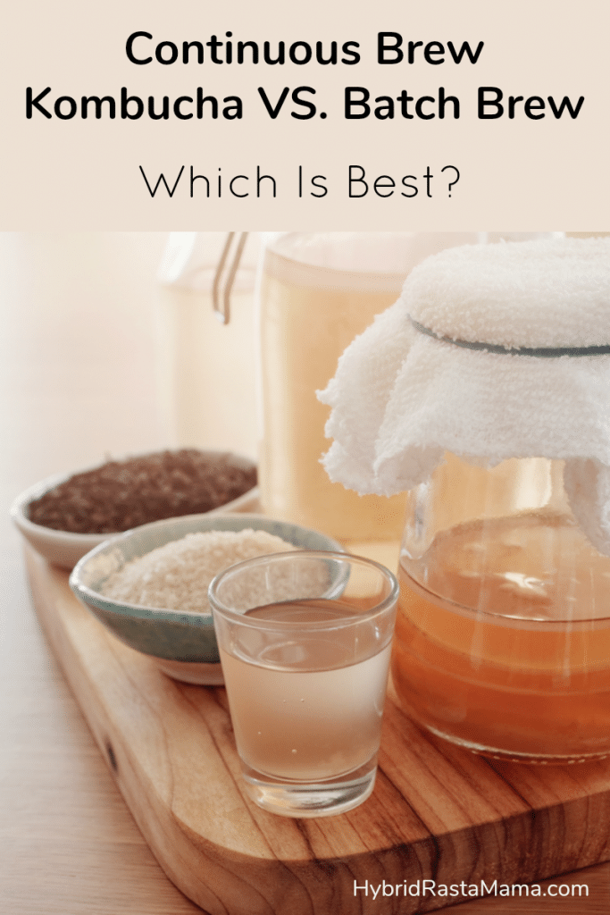 Continuous Brew Kombucha vs. Batch Brew Hybrid Rasta Mama