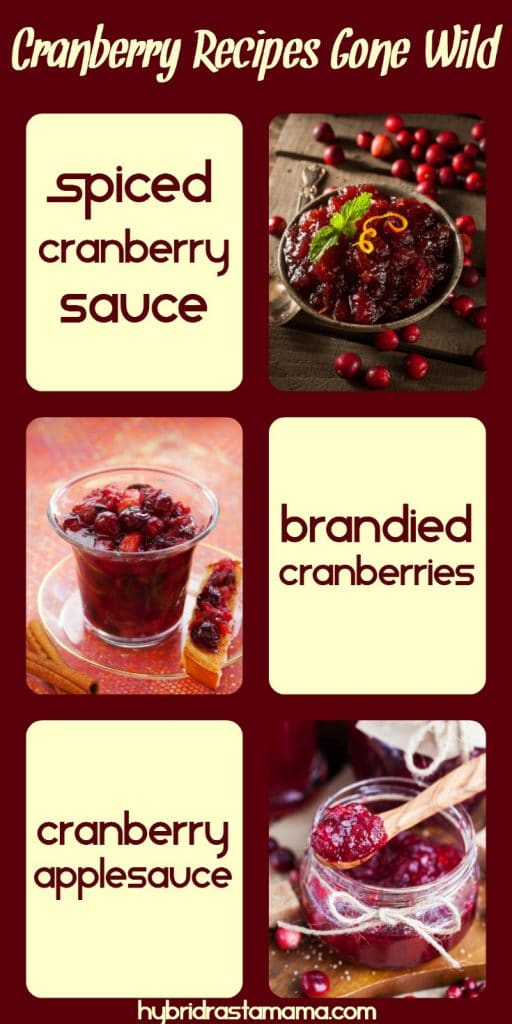 Looking for a twist on some holiday cranberry classics? Then check out Cranberry Recipes Gone Wild! You will discover how to make an awesome Spiced Cranberry Sauce, Brandied Cranberries, and a yummy Cranberry Applesauce. These gluten free, vegan recipes from HybridRastaMama.com will delight every cranberry lover. 