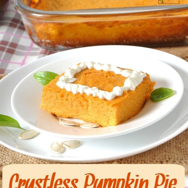 A faux pumpkin pie for those with food allergies! This Crustless Pumpkin Pie is free of common allergens but big on taste and will fool even the biggest pumpkin lover! Brought to you by HybridRastaMama.com.