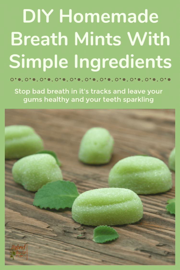 DIY homemade breath mints on a wooden background with mint leaves