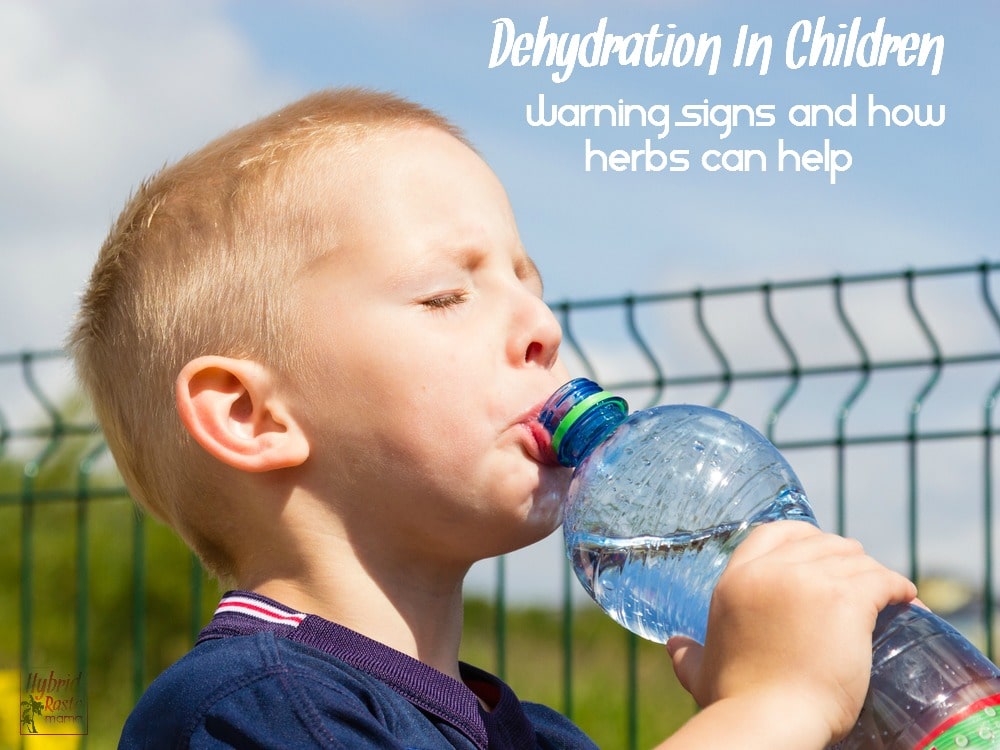 Do you know the warning signs of dehydration in children? It isn't as cut and dry as you think. Get informed and learn how herbs can help bring relief from HybridRastaMama.com