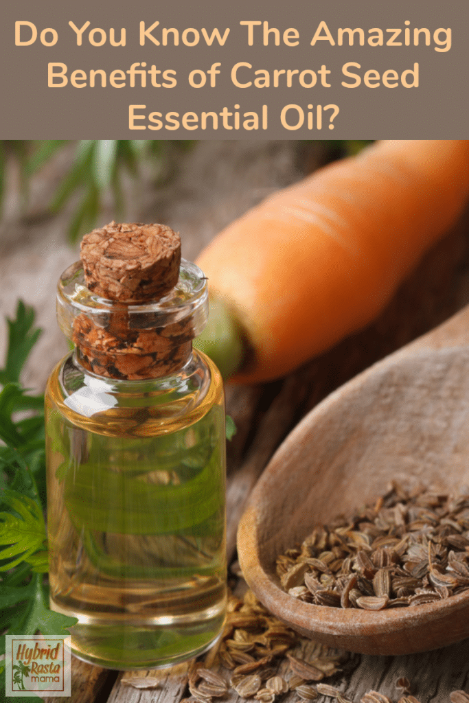 Carrot Seed Oil Benefits + A DIY Carrot Seed Oil Moisturizer Hybrid