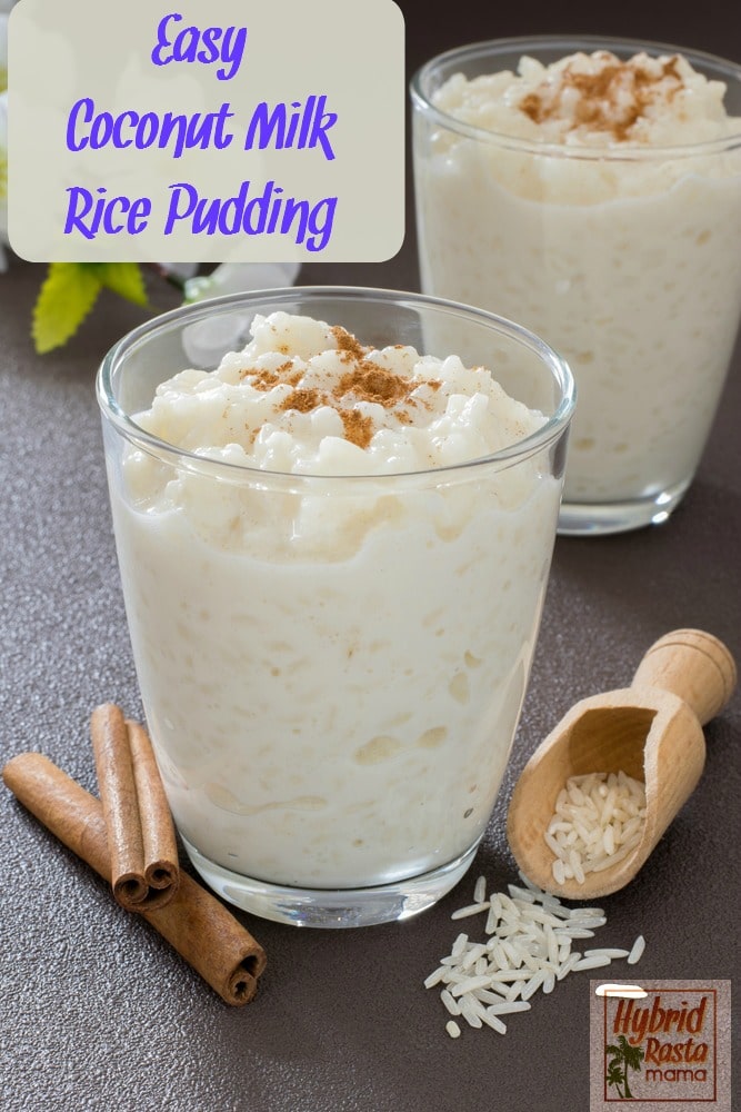 Easy Coconut Milk Rice Pudding | Hybrid Rasta Mama
