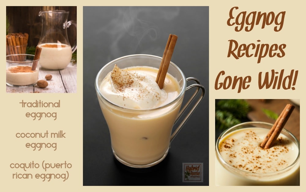 Eggnog recipes including traditional eggnog, Coquito (Puerto Rican eggnog), & dairy free coconut eggnog. These tasty beverages can also be used in baking. From HybridRastaMama.com