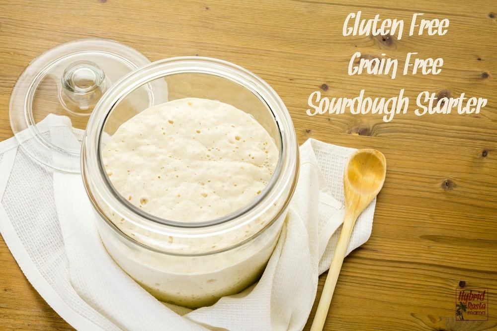 This Gluten Free, Grain Free Sourdough Starter is so easy anyone can make it. Plus it makes the perfect base for gluten free, grain free sourdough bread. Grab the recipe from HybridRastaMama.com