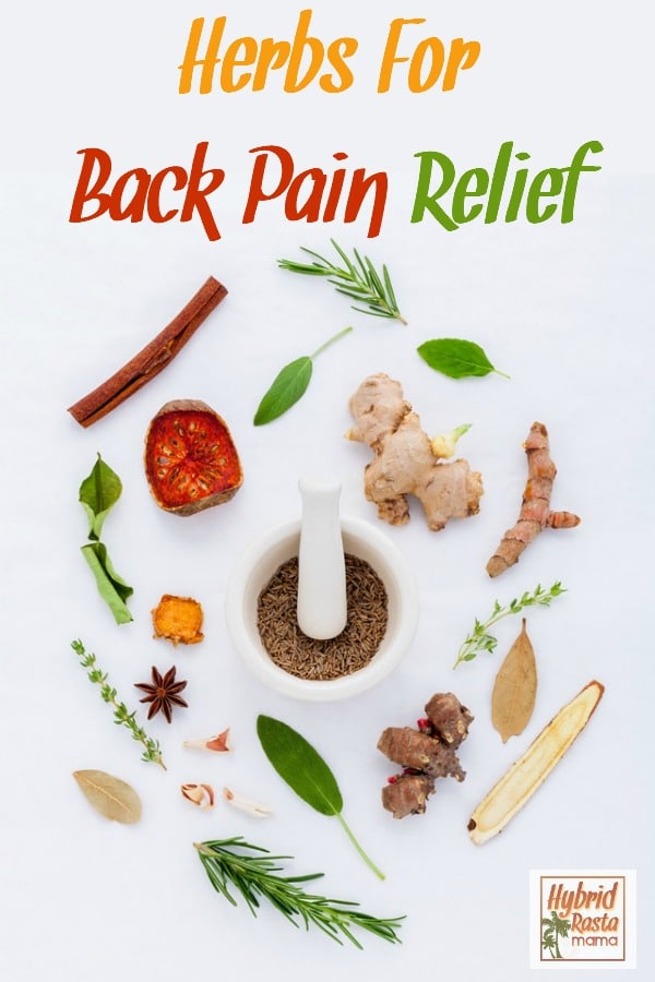 Collage of herbs for back pain relief