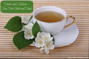 Herbal teas that are soothing and healing for children including a dry cough tea, gripe tea, immune boosting tea, calm down tea, and motion sickness tea. from HybridRastaMama.com