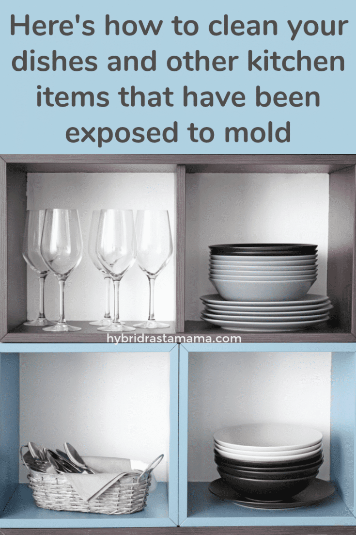 Moldy Dishes Can I Clean Dishes, Glassware & Kitchen Items That Have