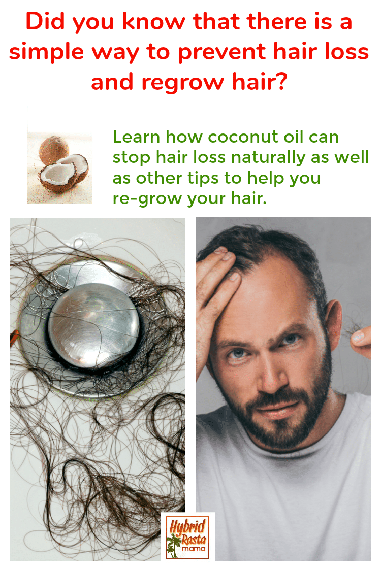 Coconut Oil For Hair Loss | Hybrid Rasta Mama