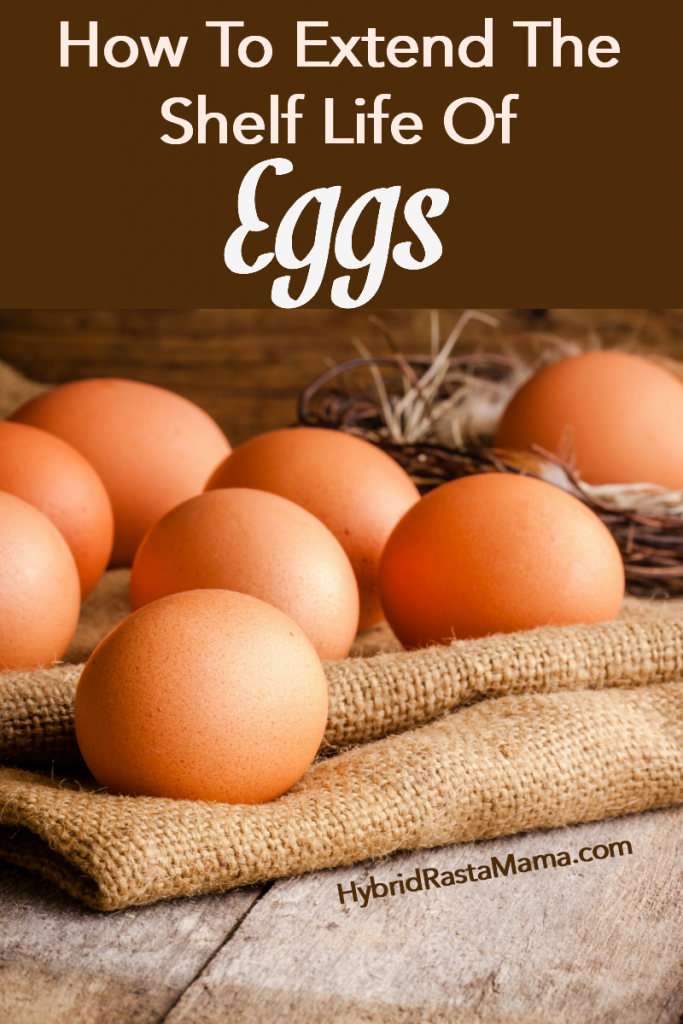 How To Extend The Shelf Life of Eggs With Coconut Oil Hybrid Rasta Mama