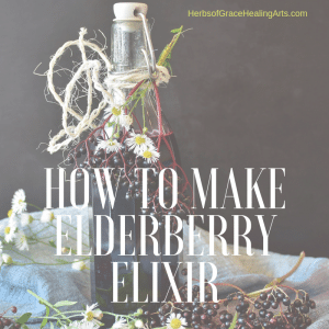 Fancy flip top bottle filled with elderberry elixir on grey background. Elderberry flowers surround the bottle.