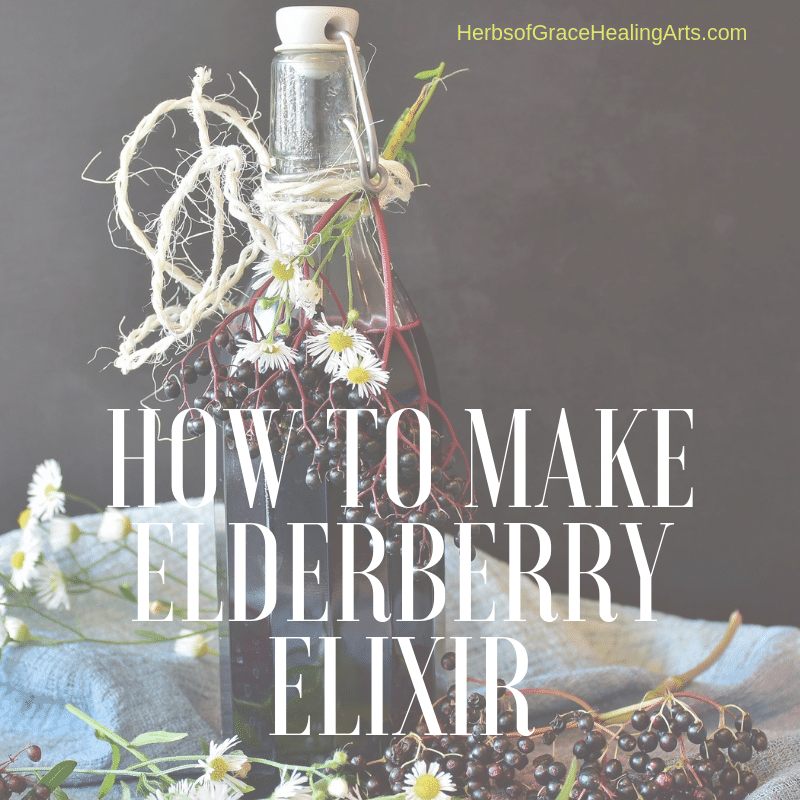 Fancy flip top bottle filled with elderberry elixir on grey background. Elderberry flowers surround the bottle.