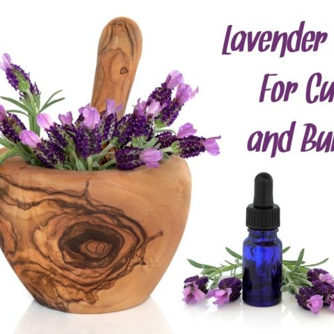 A morter and pestle with lavender in it and a bottle of lavender essential oil for burns and cuts
