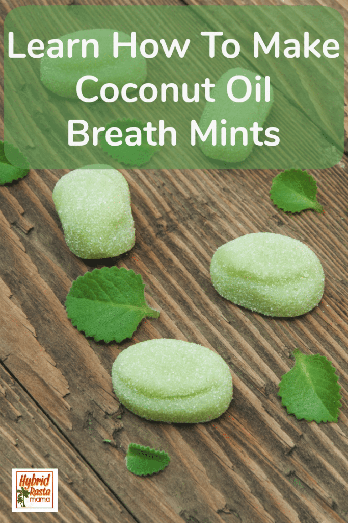 Coconut Oil For Bad Breath + Breath Mint Recipe Hybrid Rasta Mama