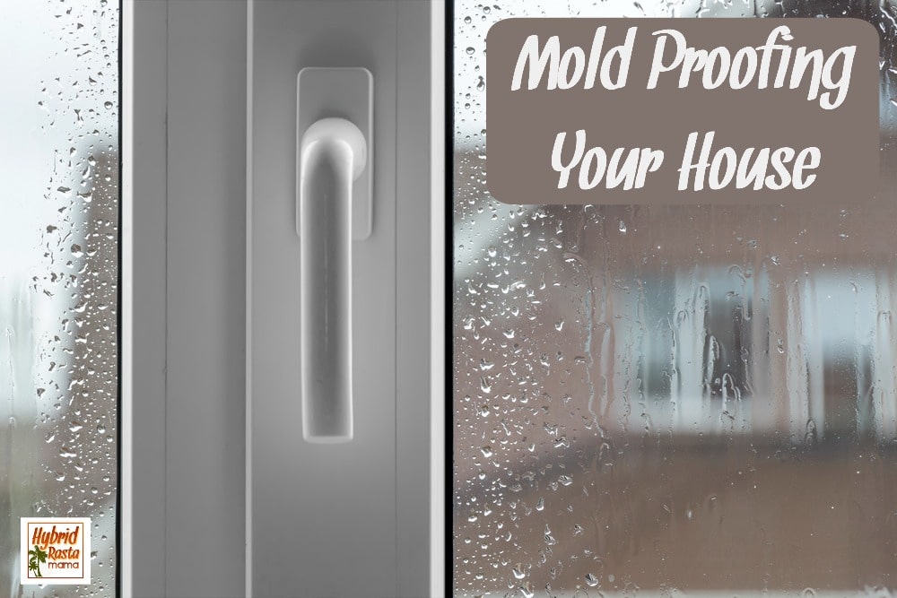 Looking out a rainy window at a brown house to mold proofing your home