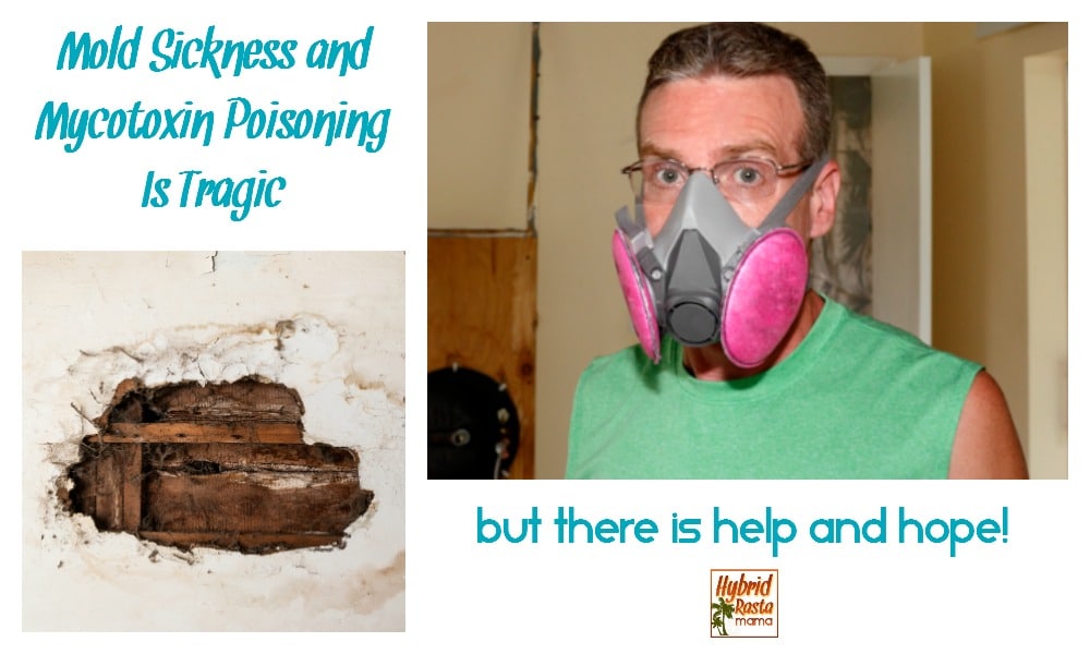 Mold sickness & mycotoxin poisoning is a tragedy no one wants to go through. But there is help and hope. Empower yourself with the information in this post from HybridRastaMama.com.