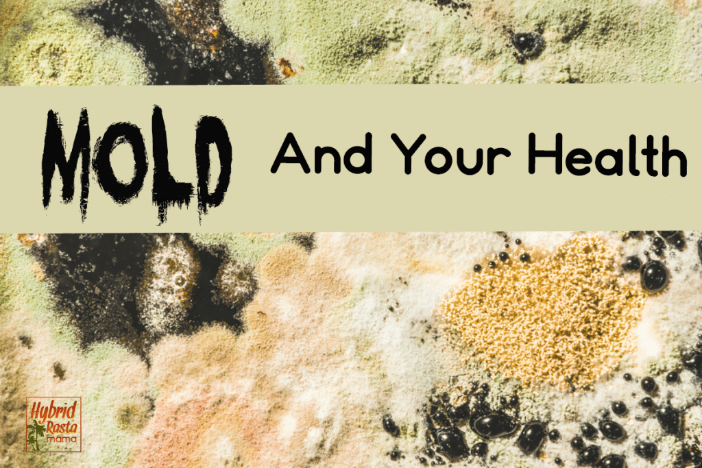 A moldy background with the words Mold and Your Health overlayed