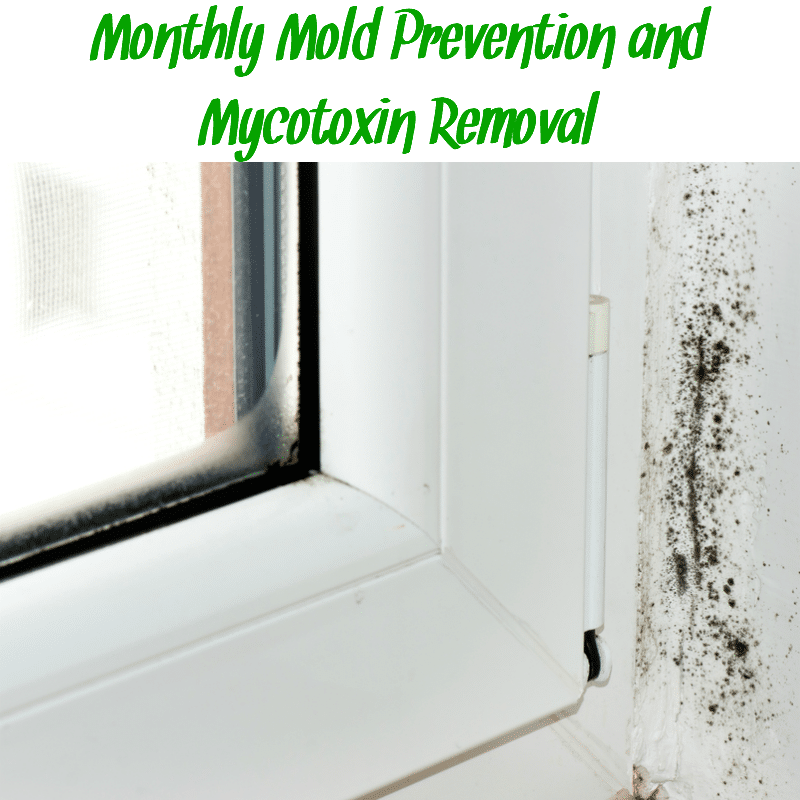 Mold in window sill with text "monthly mold prevention and mycotoxin removal"