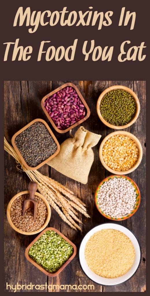 Dried beans and grains in small bowls on wooden background. Mycotoxins in food you eat are portrayed here.