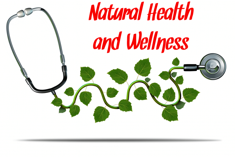 Natural health and wellness icon of a stethescope with herb leaves
