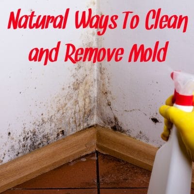 Natural Ways To Clean Mold and Remove Mold