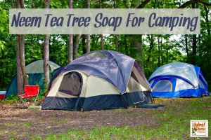 Camping tents at campground with neem tea tree soap for camping