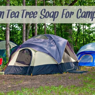 Neem Tea Tree Soap for Camping