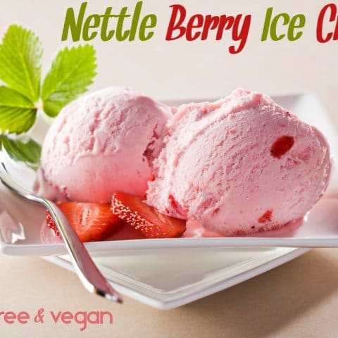 A bowl of dairy free nettle berry ice cream