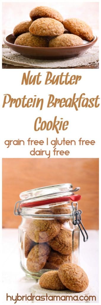 Simple, protein rich dairy free cookies that make a nourishing, wholesome breakfast on the go! These gluten free nut butter protein breakfast cookies are easy to make and very satisfying. From HybridRastaMama.com