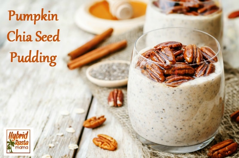 This seasonal pumpkin chia seed pudding is a nourishing treat all year long! Easy to make, it is delicious for breakfast, lunch, or snacktime! Brought to you by HybridRastaMama.com
