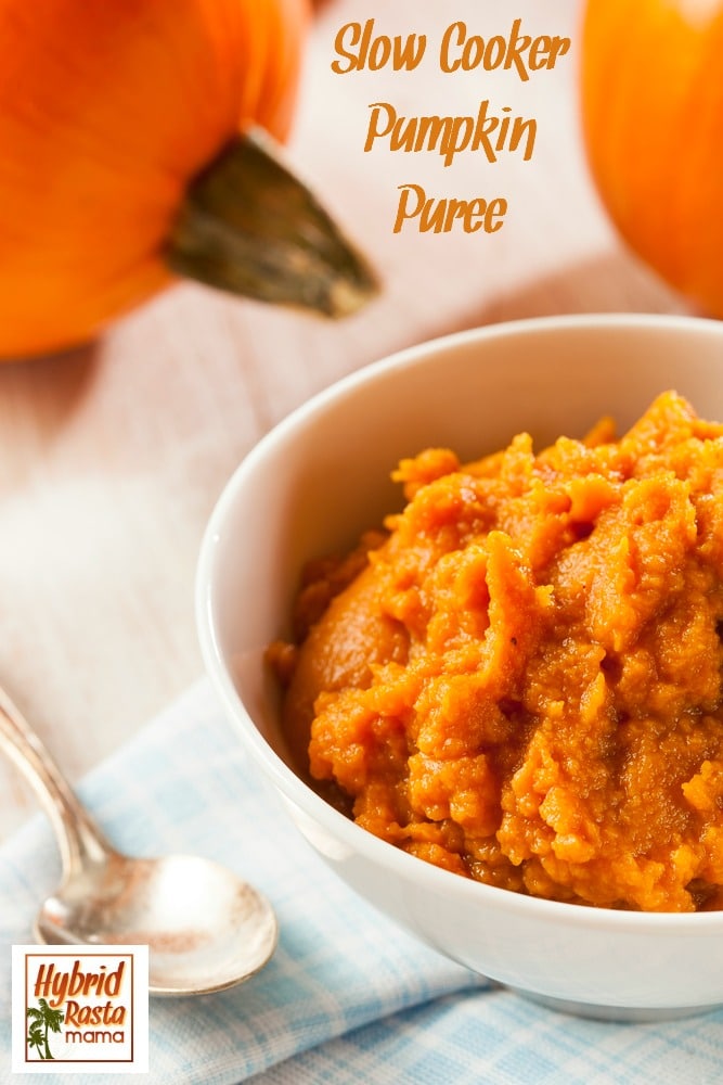 There are a million recipes for pumpkin puree but I assure you, my easy peasy slow cooker pumpkin puree really takes the cake! It is so rich in flavor! From HybridRastaMama.com