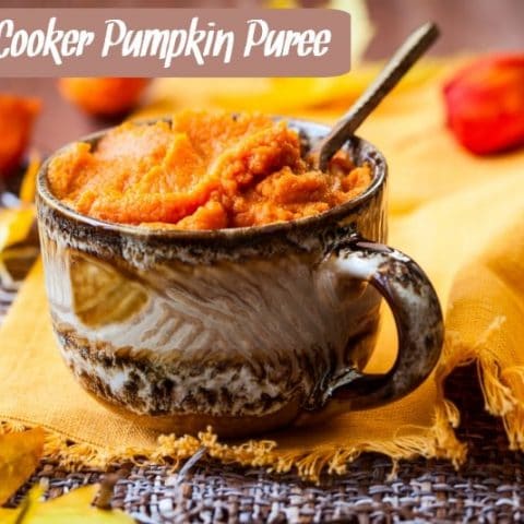 There are a million recipes for pumpkin puree but I assure you, my easy peasy slow cooker pumpkin puree really takes the cake! It is so rich in flavor! From HybridRastaMama.com