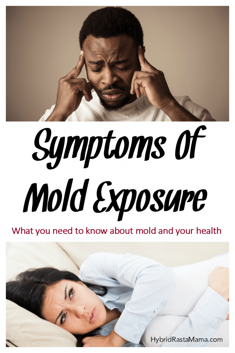 Mold Exposure Symptoms and Health Issues Hybrid Rasta Mama